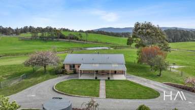 Farm For Sale - TAS - Tunnel - 7254 - Your Dream Hobby Farm Awaits!  (Image 2)