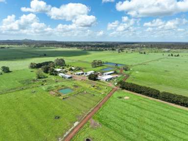 Farm For Sale - VIC - Carpendeit - 3260 - PRODUCTIVE COLAC – COBDEN DISTRICT DAIRY FARM  (Image 2)