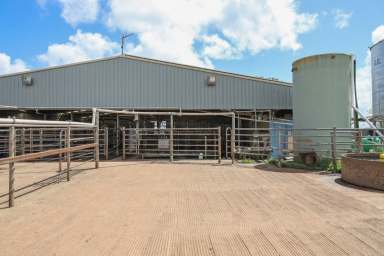 Farm For Sale - VIC - Carpendeit - 3260 - PRODUCTIVE COLAC – COBDEN DISTRICT DAIRY FARM  (Image 2)