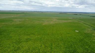 Farm For Sale - SA - Moyhall - 5271 - Well Improved and Ready to Go  (Image 2)