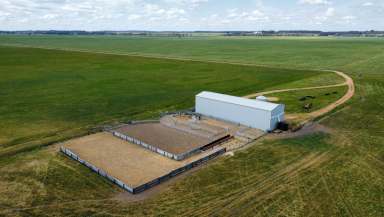 Farm For Sale - SA - Moyhall - 5271 - Well Improved and Ready to Go  (Image 2)