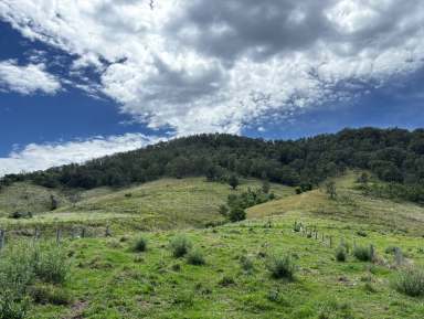 Farm For Sale - NSW - Number One - 2424 - Rural Escape for Sale: 40 Acres of Versatile Land!  (Image 2)