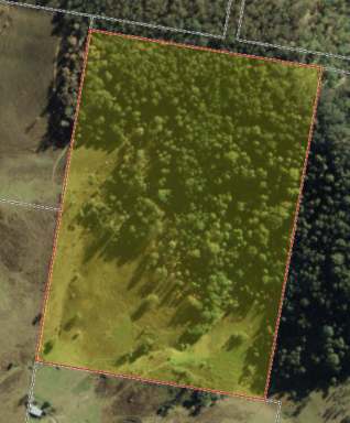 Farm For Sale - NSW - Number One - 2424 - Rural Escape for Sale: 40 Acres of Versatile Land!  (Image 2)