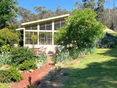 Farm For Sale - NSW - Coonabarabran - 2357 - Multiple Homes - Unique Opportunity Awaits the Savvy Investor !!  (Image 2)