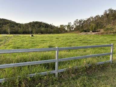 Farm For Sale - QLD - Gargett - 4741 - PIONEER VALLEY RETREAT  (Image 2)