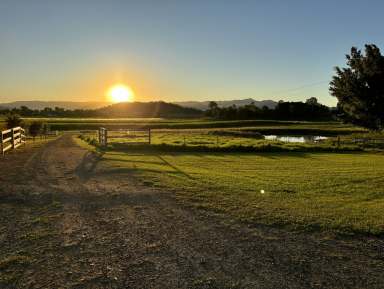 Farm For Sale - QLD - Gargett - 4741 - PIONEER VALLEY RETREAT  (Image 2)