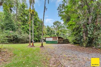 Farm For Sale - QLD - Lower Daintree - 4873 - First Home Buyers - Your Chance is NOW!  (Image 2)