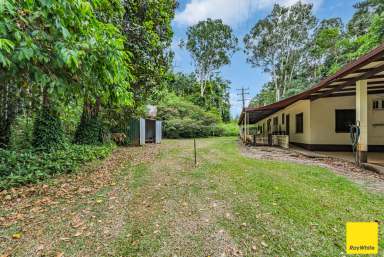 Farm For Sale - QLD - Lower Daintree - 4873 - First Home Buyers - Your Chance is NOW!  (Image 2)