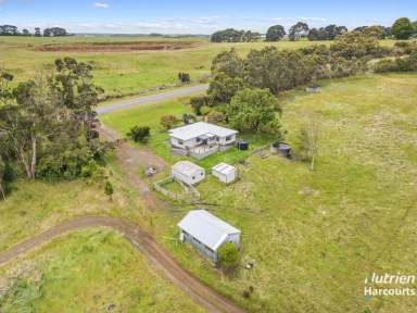 Farm For Sale - VIC - Scotts Creek - 3267 - Charming Country Retreat on 5 acres  (Image 2)