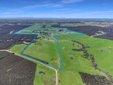 Farm For Sale - VIC - Nareen - 3315 - Expressions of Interest " Kowarna" 864.27 Acres - 349.76 Hectares  (Image 2)