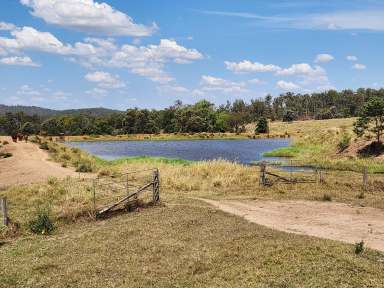 Farm For Sale - QLD - Mundubbera - 4626 - Quality Mundowran Scrub Country  (Image 2)