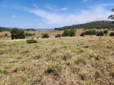 Farm For Sale - QLD - Mundubbera - 4626 - Quality Mundowran Scrub Country  (Image 2)