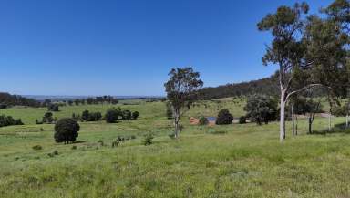 Farm For Sale - QLD - Mundubbera - 4626 - Quality Mundowran Scrub Country  (Image 2)