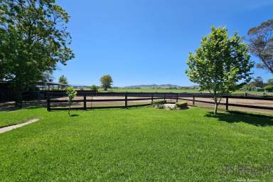 Farm For Sale - NSW - Aberdeen - 2336 - Rural Lifestyle  (Image 2)