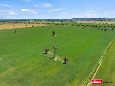 Farm Auction - NSW - Young - 2594 - Sold as a Whole or 2 Separate Lots.  (Image 2)