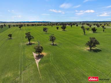 Farm Auction - NSW - Young - 2594 - Sold as a Whole or 2 Separate Lots.  (Image 2)