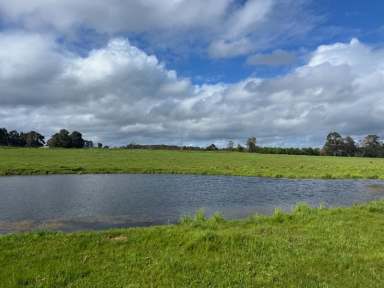 Farm For Sale - WA - Meerup - 6262 - South West Coast Grazing! 39.5Ha* (97.6 Ac)  (Image 2)