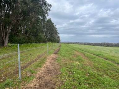 Farm For Sale - WA - Meerup - 6262 - South West Coast Grazing! 39.5Ha* (97.6 Ac)  (Image 2)