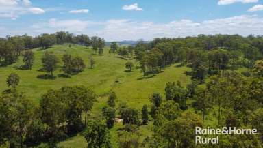 Farm For Sale - NSW - Woodview - 2470 - Perfect Heifer Paddock  (Image 2)