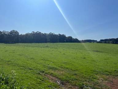 Farm For Sale - WA - Manjimup - 6258 - 41 Acre* Blank Canvas!  (Image 2)