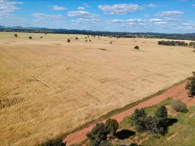 Farm For Sale - NSW - Burcher - 2671 - "Boulderwood"  (Image 2)