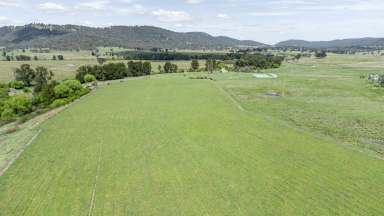 Farm Auction - NSW - Bendemeer - 2355 - Central Location | Large Scale | Huge Potential  (Image 2)