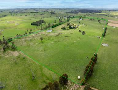 Farm For Sale - NSW - Judds Creek - 2795 - Charming Lifestyle Retreat at Burraga Road, Judds Creek  (Image 2)