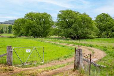 Farm Auction - NSW - Wiagdon - 2795 - Charming Lifestyle Property in Wiagdon with Income  (Image 2)