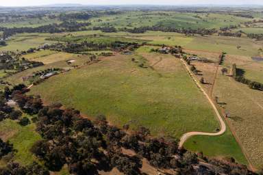 Farm For Sale - NSW - Young - 2594 - Federation Home on Acres with Income  (Image 2)