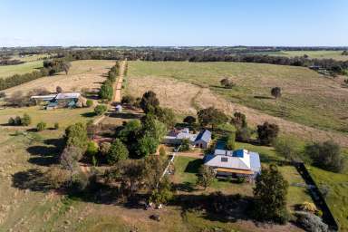 Farm For Sale - NSW - Young - 2594 - Federation Home on Acres with Income  (Image 2)