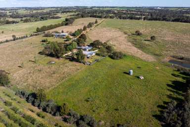 Farm For Sale - NSW - Young - 2594 - Federation Home on Acres with Income  (Image 2)