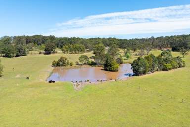 Farm Auction - NSW - Coila - 2537 - Coila Creek Farm - A Private & Picturesque Coastal Location  (Image 2)