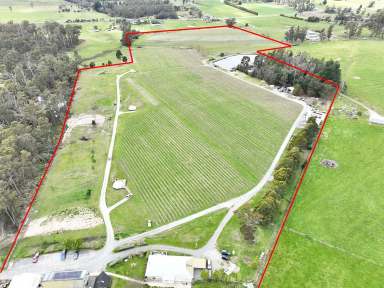 Farm For Sale - TAS - Sidmouth - 7270 - Swinging Gate Vineyard Wines  (Image 2)