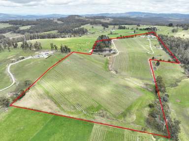 Farm For Sale - TAS - Sidmouth - 7270 - Swinging Gate Vineyard Wines  (Image 2)