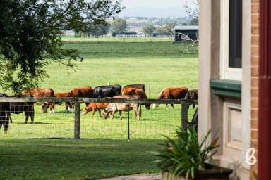 Farm Auction - NSW - Singleton - 2330 - "GREENWOOD'" | REMARKABLE HUNTER VALLEY ESTATE  (Image 2)