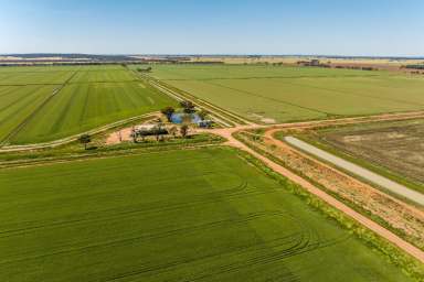 Farm Auction - NSW - Murrami - 2705 - Riverina irrigation offering scale and diversity  (Image 2)