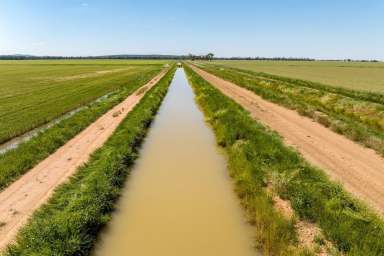 Farm Auction - NSW - Murrami - 2705 - Riverina irrigation offering scale and diversity  (Image 2)