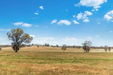 Farm For Sale - VIC - Gobarup - 3559 - 107 ACRE GRAZING PROPERTY  (Image 2)