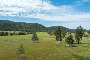 Farm For Sale - NSW - Giants Creek - 2328 - Stunning Small Acreage  (Image 2)