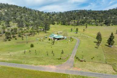 Farm For Sale - NSW - Giants Creek - 2328 - Stunning Small Acreage  (Image 2)