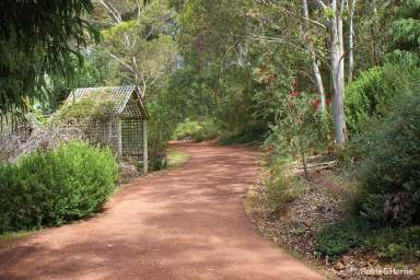 Farm For Sale - WA - Shadforth - 6333 - Privacy Plus  (Image 2)