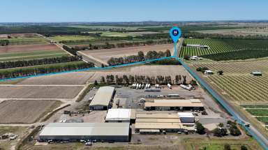 Farm For Sale - QLD - Calavos - 4670 - EXPRESSIONS OF INTEREST CLOSE 27th NOV 2024 5pm  (Image 2)