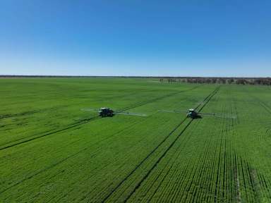 Farm For Sale - QLD - Toobeah - 4498 - UNPRECEDENTED LARGE SCALE CROPPING OPPORTUNITY  (Image 2)