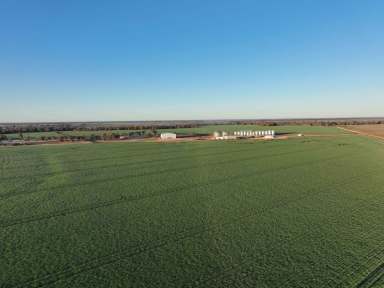 Farm For Sale - QLD - Toobeah - 4498 - UNPRECEDENTED LARGE SCALE CROPPING OPPORTUNITY  (Image 2)