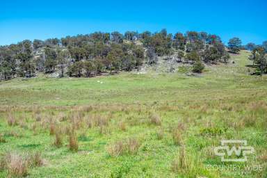 Farm For Sale - NSW - Deepwater - 2371 - Expansive Rural Property with Stunning Views and Grazing Land – Only 10 Minutes from Deepwater  (Image 2)