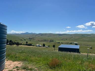 Farm For Sale - VIC - Omeo Valley - 3898 - Bingo Vale  (Image 2)