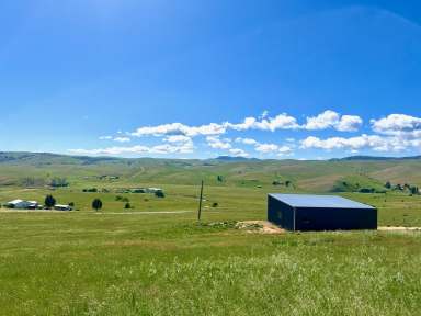 Farm For Sale - VIC - Omeo Valley - 3898 - Bingo Vale  (Image 2)