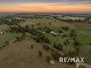 Farm For Sale - NSW - Junee - 2663 - A LIFESTYLE AWAITS  (Image 2)