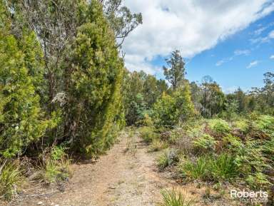 Farm For Sale - TAS - Tugrah - 7310 - Bushland Retreat - Just 10 Minutes from Devonport  (Image 2)