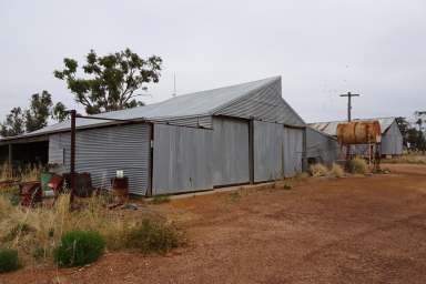 Farm Auction - WA - Corrigin - 6375 - Carpe Diem - Seize the Day!  (Image 2)